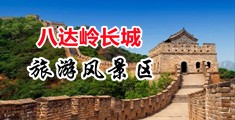 搞鸡巴网站中国北京-八达岭长城旅游风景区