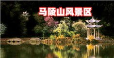 性感大胸美女跟男人屌鸡网站